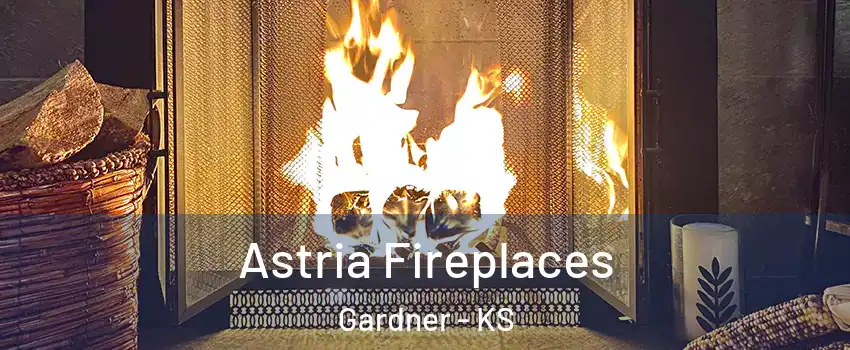  Astria Fireplaces Gardner - KS