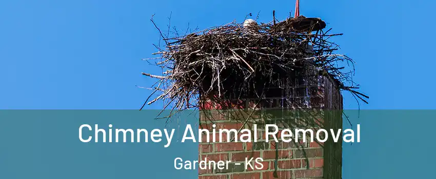  Chimney Animal Removal Gardner - KS