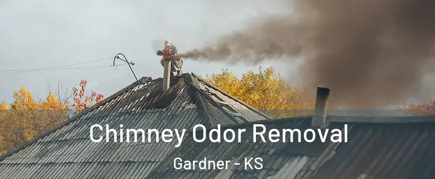  Chimney Odor Removal Gardner - KS