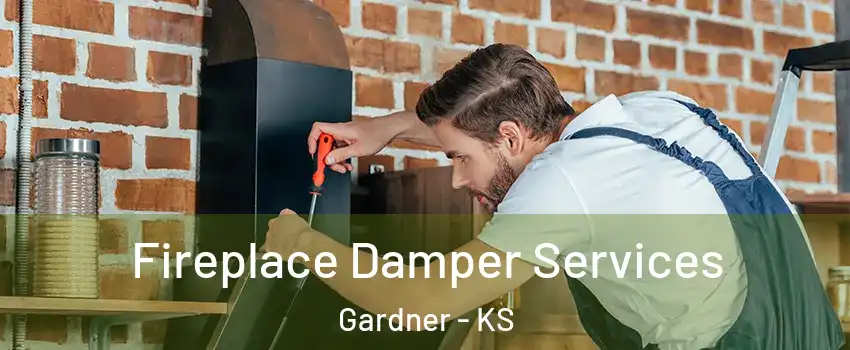  Fireplace Damper Services Gardner - KS