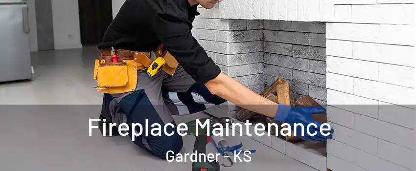  Fireplace Maintenance Gardner - KS