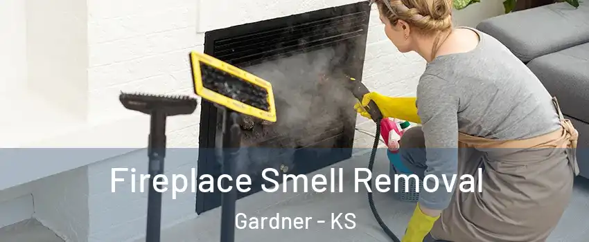  Fireplace Smell Removal Gardner - KS