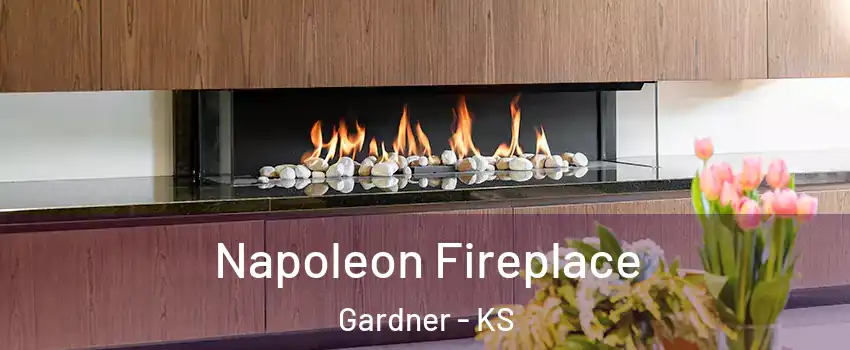  Napoleon Fireplace Gardner - KS
