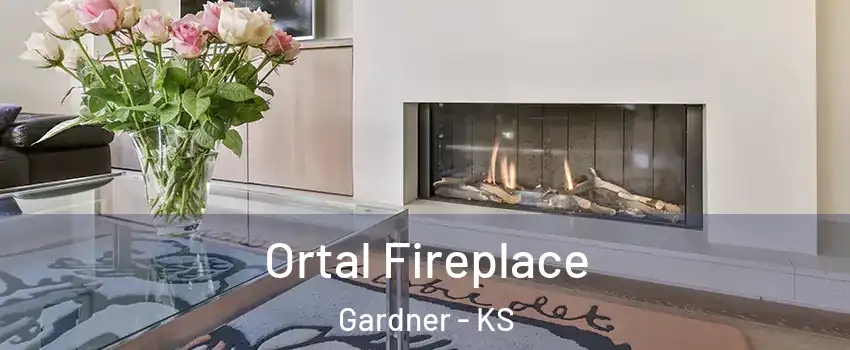  Ortal Fireplace Gardner - KS